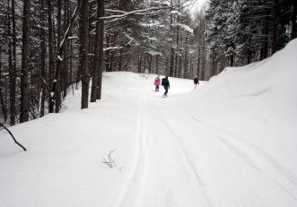 �R�c�q��A�R�c����A�^�R�`�R�[�X