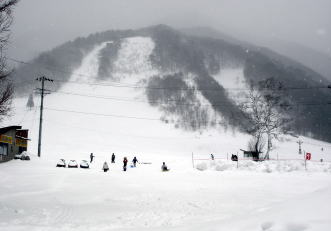 �R�c�q��A�R�c����A�^�R�`�R�[�X