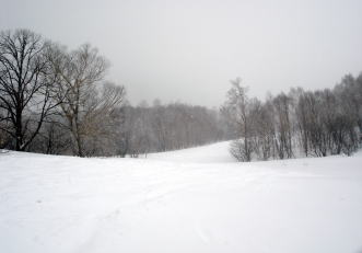 �R�c�q��A�R�c����A�^�R�`�R�[�X