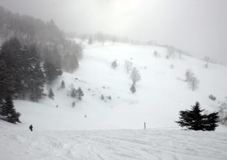 �R�c�q��A�R�c����A�^�R�`�R�[�X