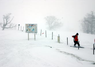 �R�c�q��A�R�c����A�^�R�`�R�[�X