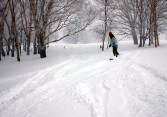 �R�c�q��A�R�c����A�^�R�`�R�[�X