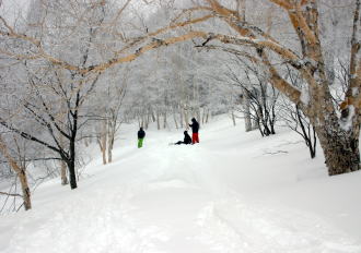 �R�c�q��A�R�c����A�^�R�`�R�[�X