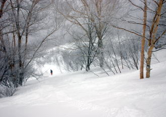 �R�c�q��A�R�c����A�^�R�`�R�[�X