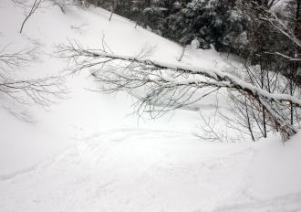 �R�c�q��A�R�c����A�^�R�`�R�[�X