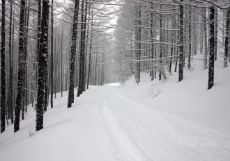 �R�c�q��A�R�c����A�^�R�`�R�[�X