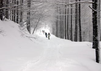 �R�c�q��A�R�c����A�^�R�`�R�[�X