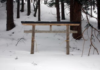 �R�c�q��A�R�c����A�^�R�`�R�[�X