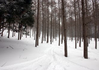 �R�c�q��A�R�c����A�^�R�`�R�[�X