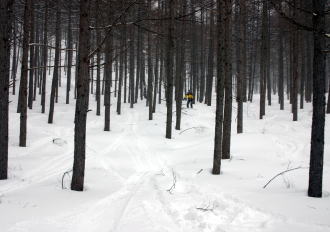 �R�c�q��A�R�c����A�^�R�`�R�[�X