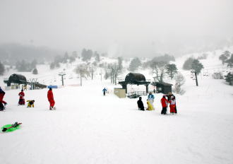 �R�c�q��A�R�c����A�^�R�`�R�[�X