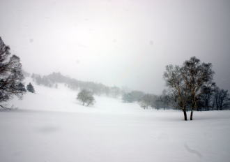 �R�c�q��A�R�c����A�^�R�`�R�[�X