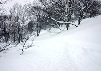 �V�����}���Α�