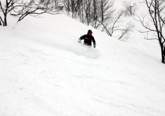 �X�L�[�ʐ^�F�V�����}���Α�