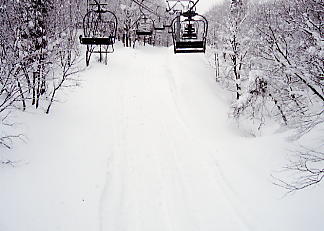 ������V�[�T�C�h�o���[