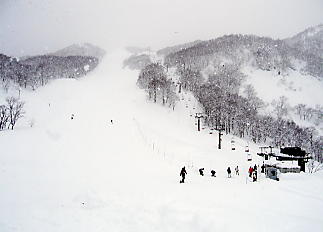 ������V�[�T�C�h�o���[