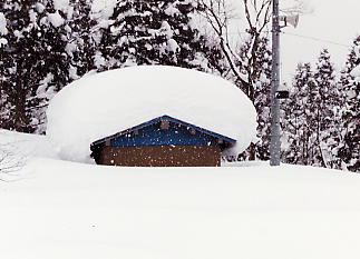 ������V�[�T�C�h�o���[