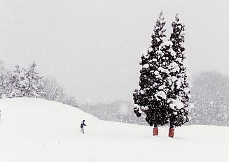 ������V�[�T�C�h�o���[