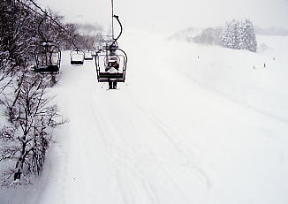 ������V�[�T�C�h�o���[