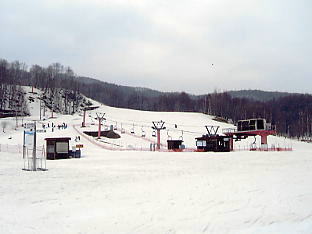 �O���[���s�A���