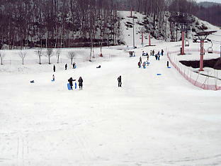 �O���[���s�A���