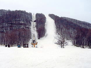 �O���[���s�A���