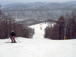 �O���[���s�A���