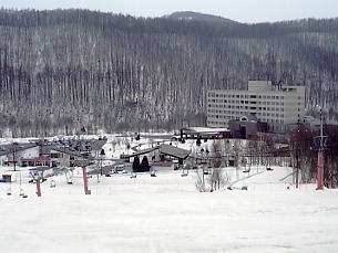 �O���[���s�A���