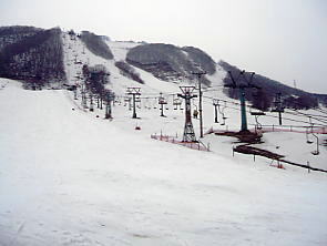 �j���}����