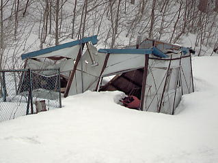 �j���}����