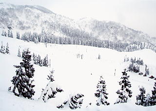 �C�I�b�N�X�A���[�U