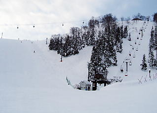 �C�I�b�N�X�A���[�U