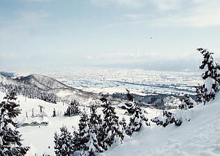 �C�I�b�N�X�A���[�U