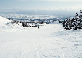 �C�I�b�N�X�A���[�U