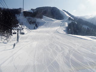 �X�m�[�o���[����