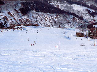 ���x����