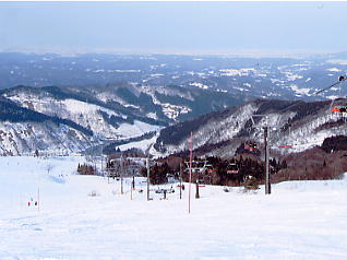 ���x����