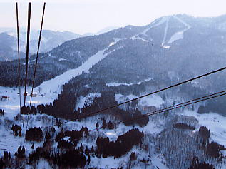 ���x����