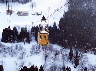 ���x����