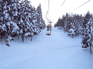 ���x����