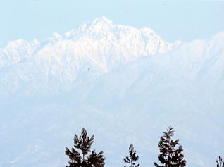 ���x����