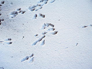 ���x����