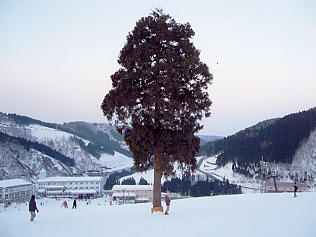 ���x����