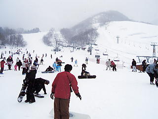 ���ɐ��X�L�[��F�Q�����f