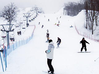 ���ɐ��X�L�[��F�V���R�[�X