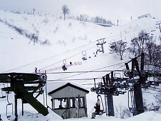 ���ɐ��X�L�[��FZ�����t�g