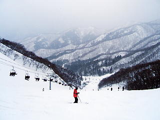 ���ɐ��X�L�[��F�`�����s�I��