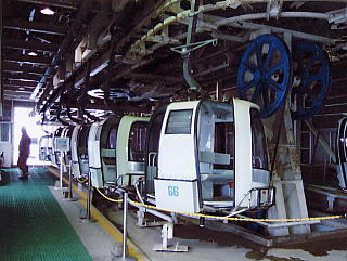 �ɐ��R�X�L�[��F�S���h���͓��}��