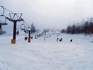 �ɐ��R�X�L�[��F�l���ڃR�[�X