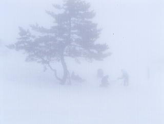 �ɐ��R�X�L�[��F�K�X���Z��